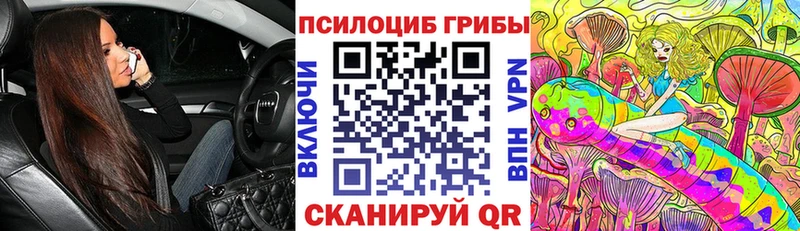 Галлюциногенные грибы мицелий дарнет шоп Дыгулыбгей